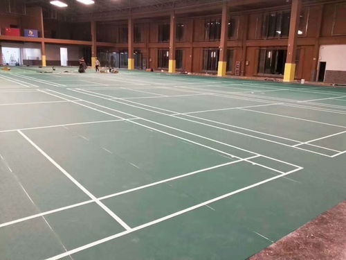 郫縣PVC塑膠運動地膠IN 網球地膠